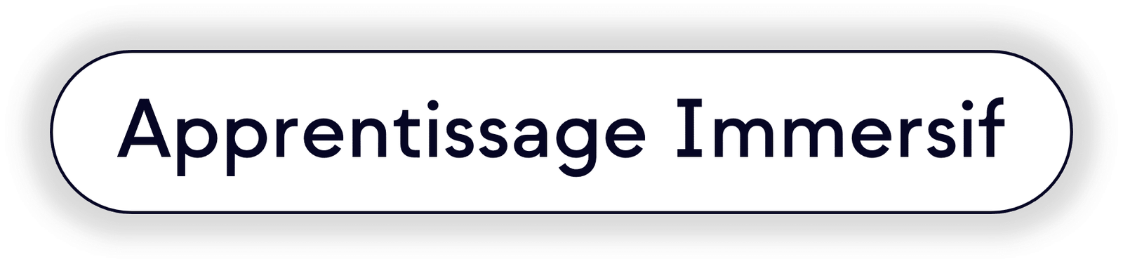 Apprentissage Immersif